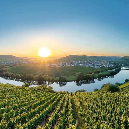 Holiday Home In The Eifel-Mosel With Garden Roes Eksteriør billede