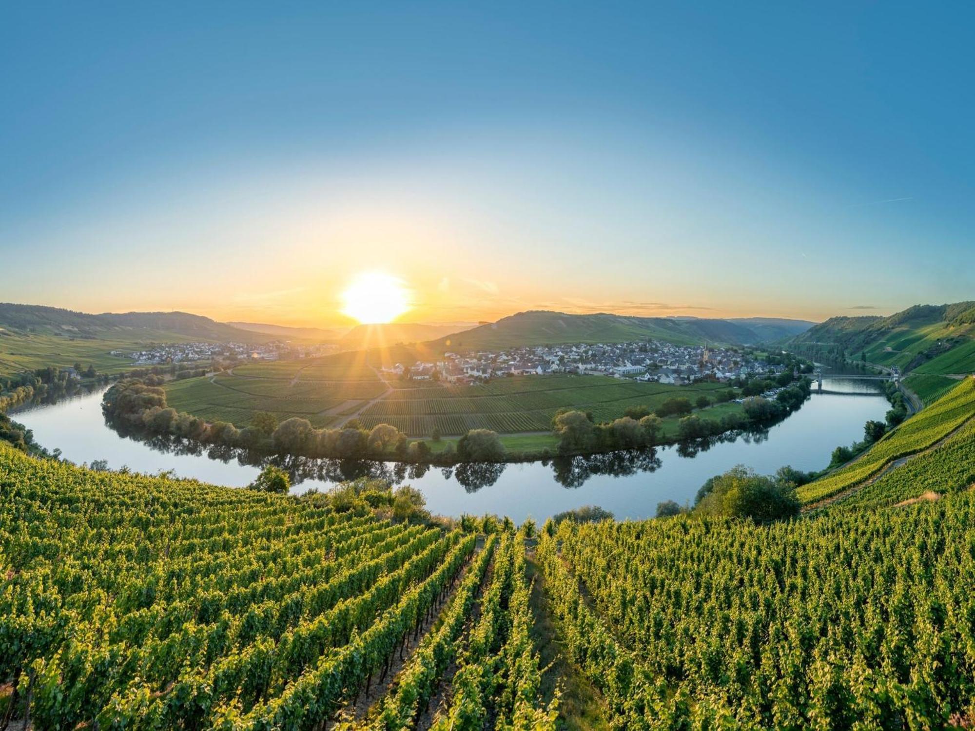 Holiday Home In The Eifel-Mosel With Garden Roes Eksteriør billede